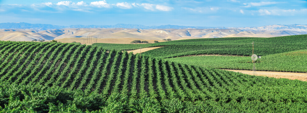 Roll on Summer: How About A Northern California Winery Tour